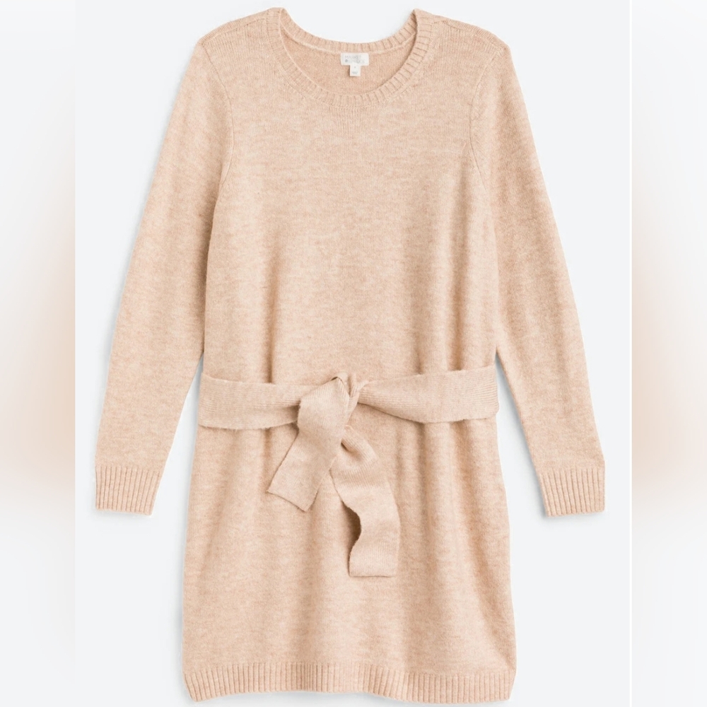 Market & Spruce Cozy Yarn Crew Neck Sweater Dress